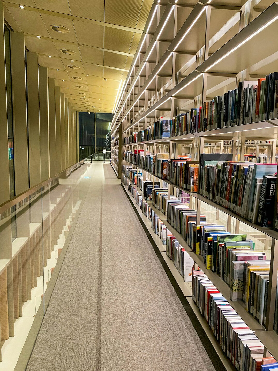 Rows of bookshelves in a quiet library